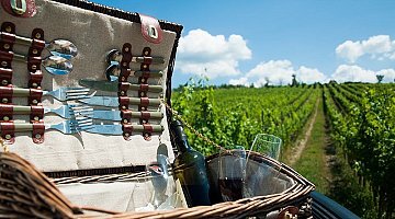 Safári na vinícola da Toscana ❒ Italy Tickets